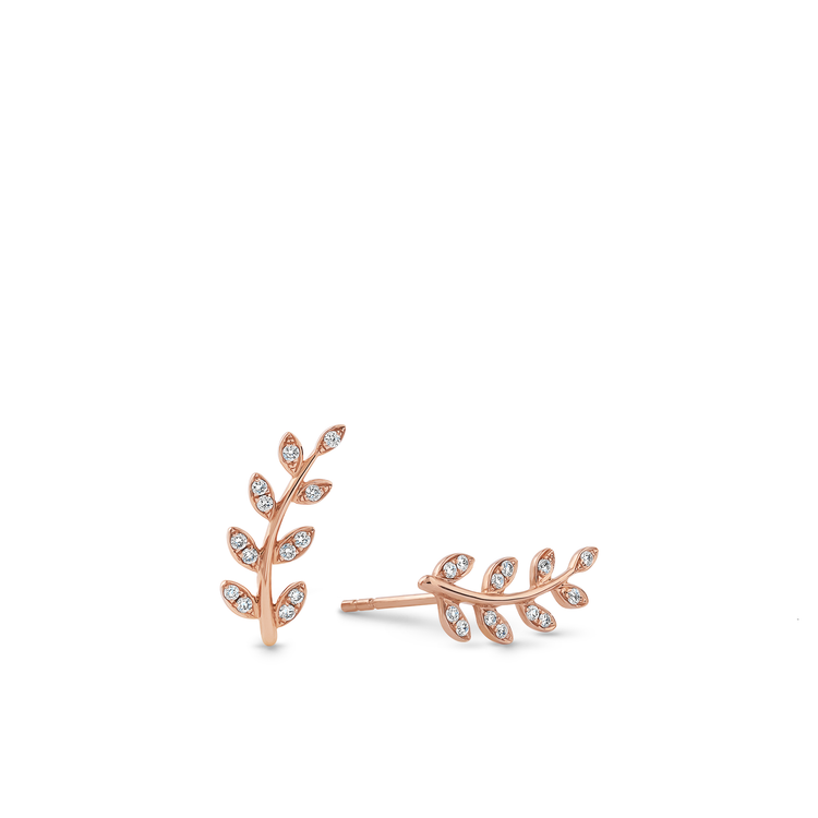Oliver Heemeyer Acacia diamond ear studs made of 18k rose gold.