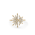 Oliver Heemeyer Eremia Diamond Ring Fancy made of 18k yellow gold.